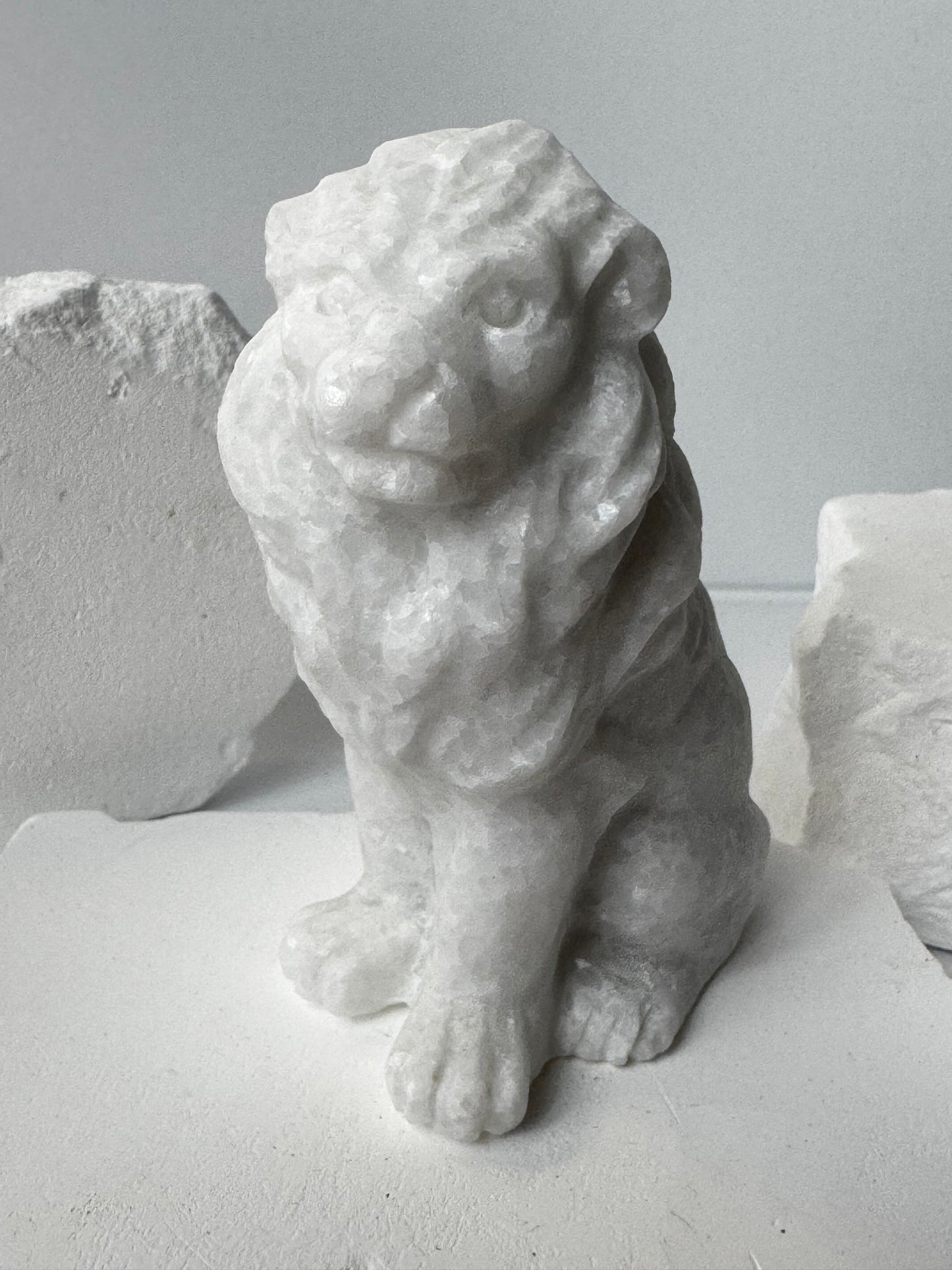 Löwe – Rosenquarz oder Weiße Jade