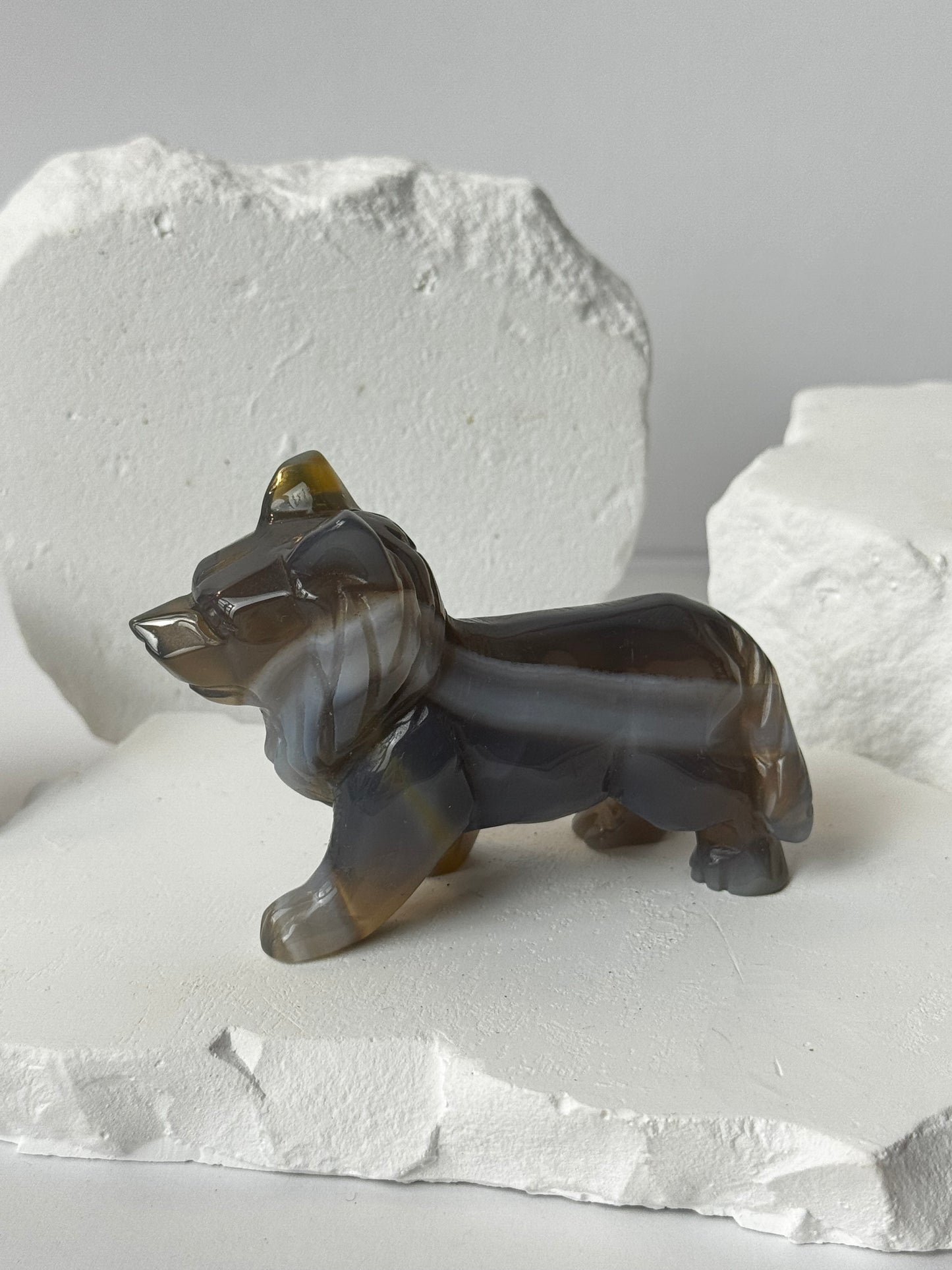 Achat – Wolf Carving verschiedene Varianten