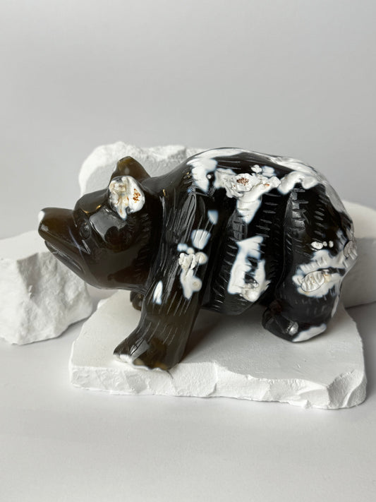 Orca Achat – Bär Carving