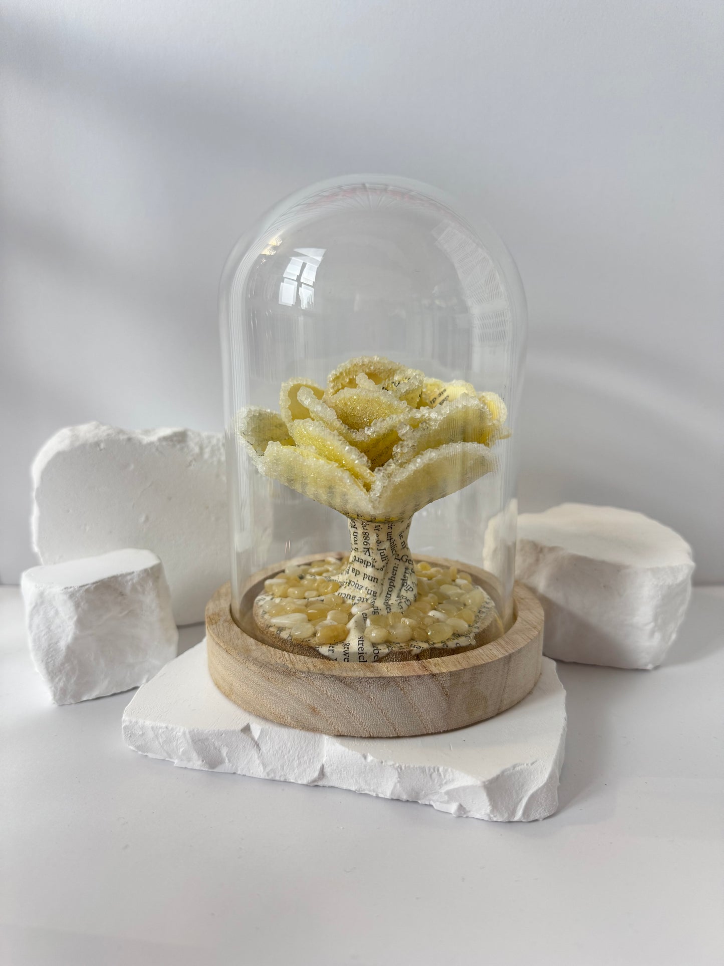 Kristallisierte Buchrose unter Glas – Orangen-Kalzit