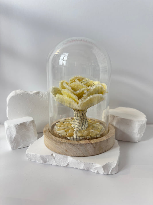 Kristallisierte Buchrose unter Glas – Orangen-Kalzit