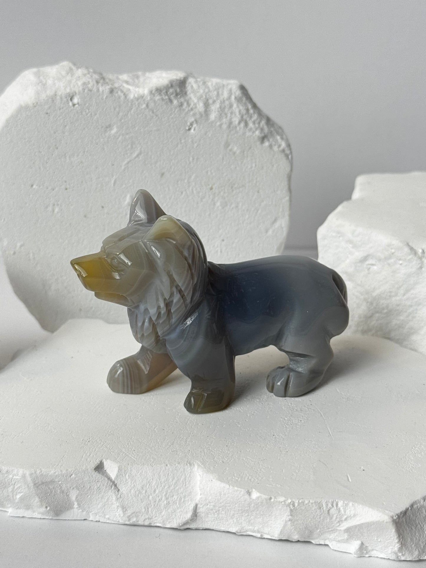 Achat – Wolf Carving verschiedene Varianten