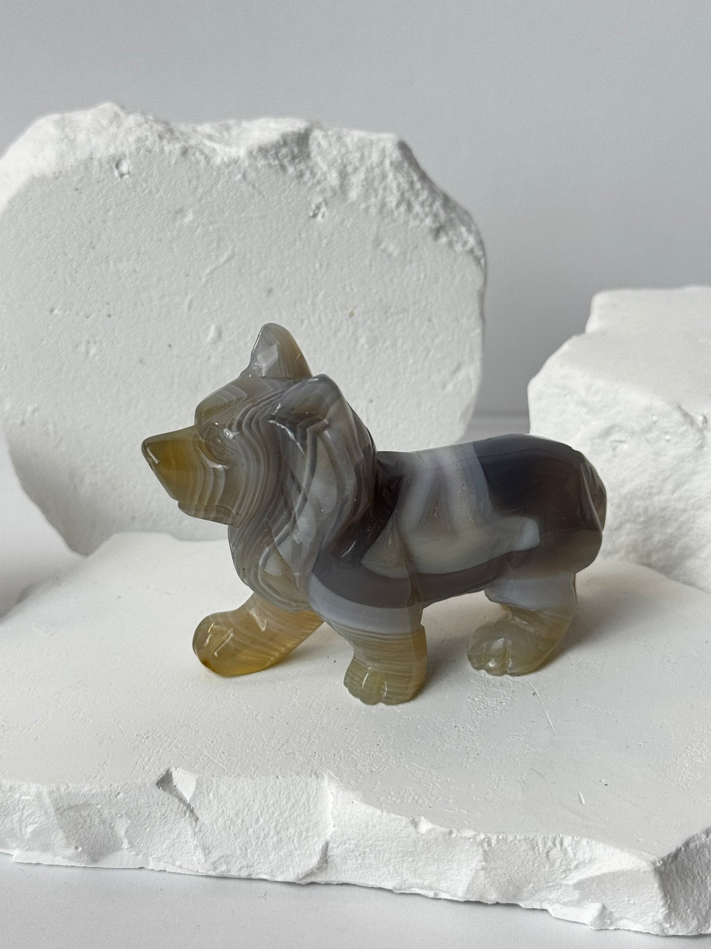 Achat – Wolf Carving verschiedene Varianten