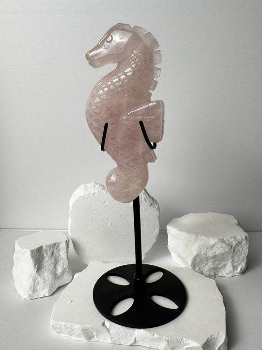 Rosenquarz – Seepferdchen