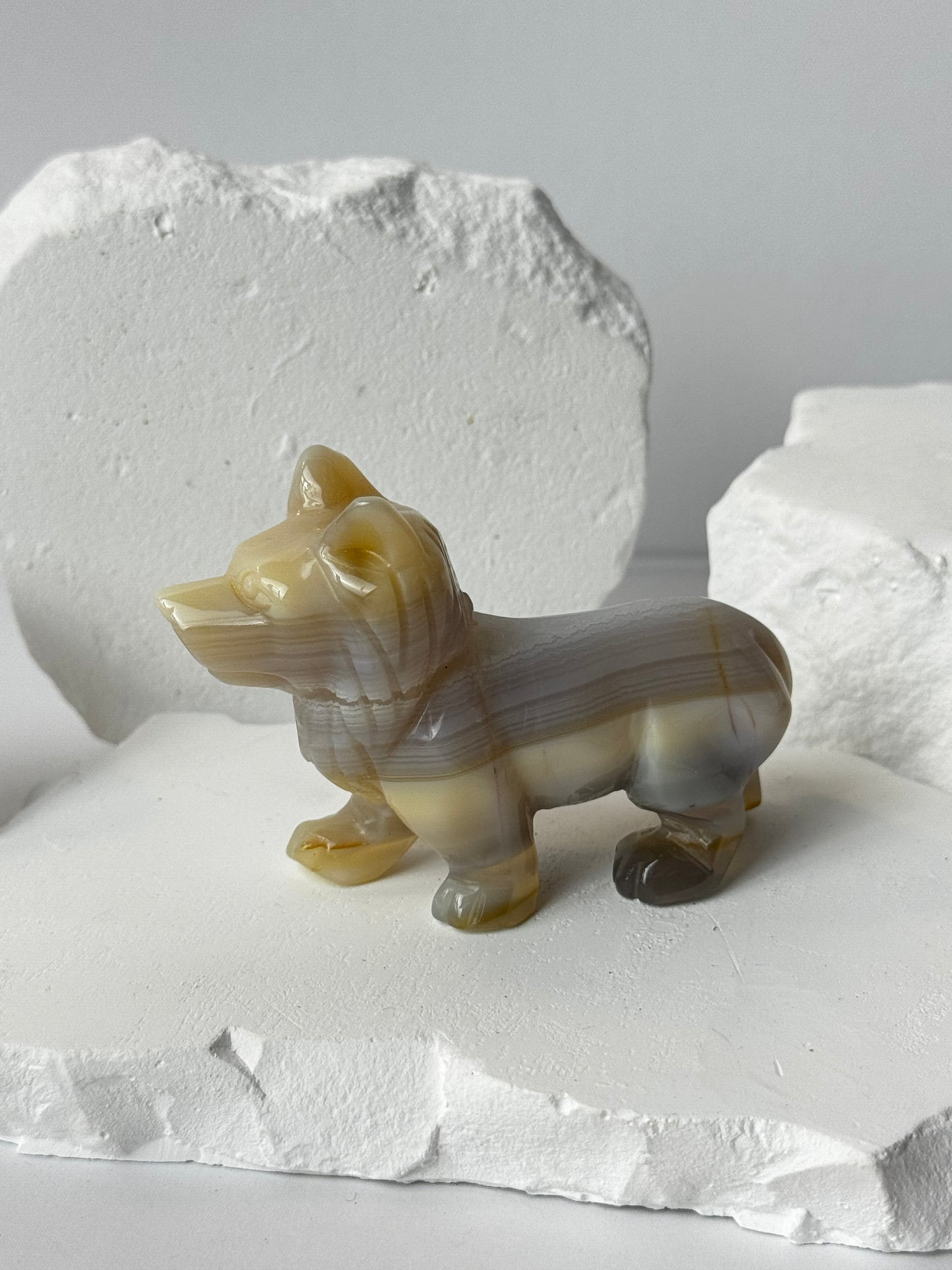 Achat – Wolf Carving verschiedene Varianten