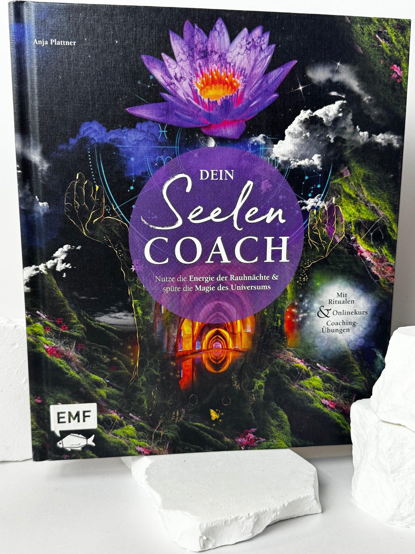 Dein Seelen Coach – Spiritualität & Persönlichkeitsentwicklung