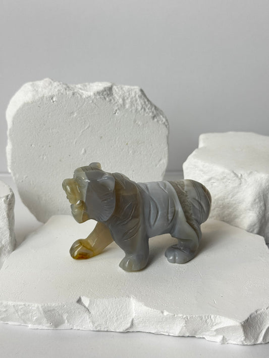 Achat – Tiger Carving verschiedene Varianten