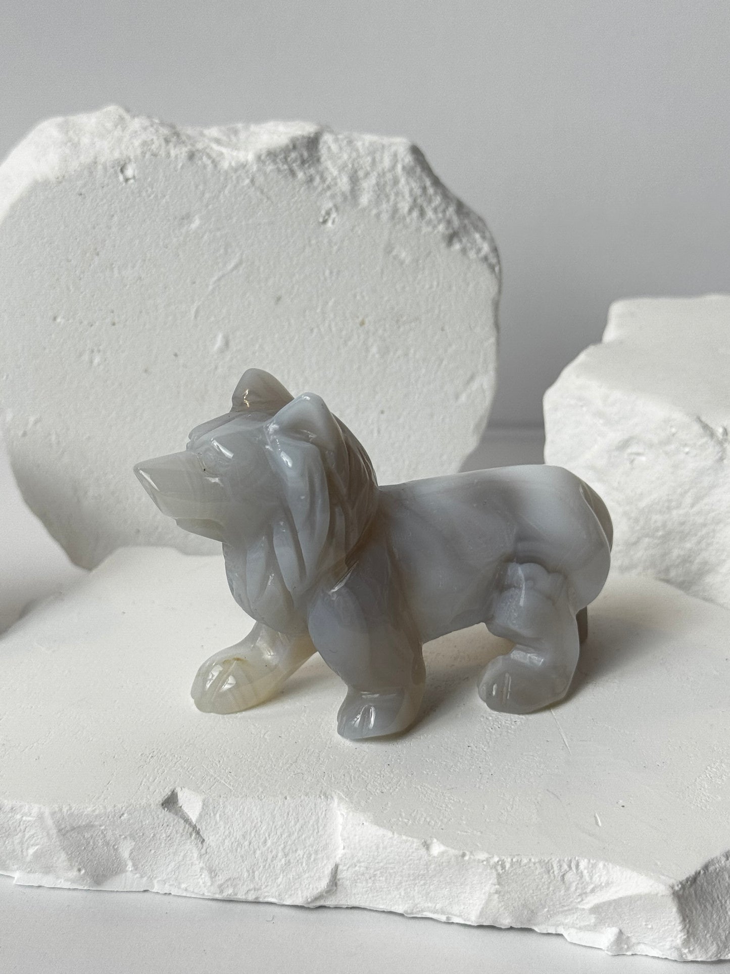 Achat – Wolf Carving verschiedene Varianten