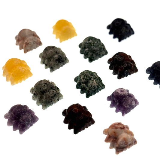 🕷️ Mystery Baby Spinne – Carving