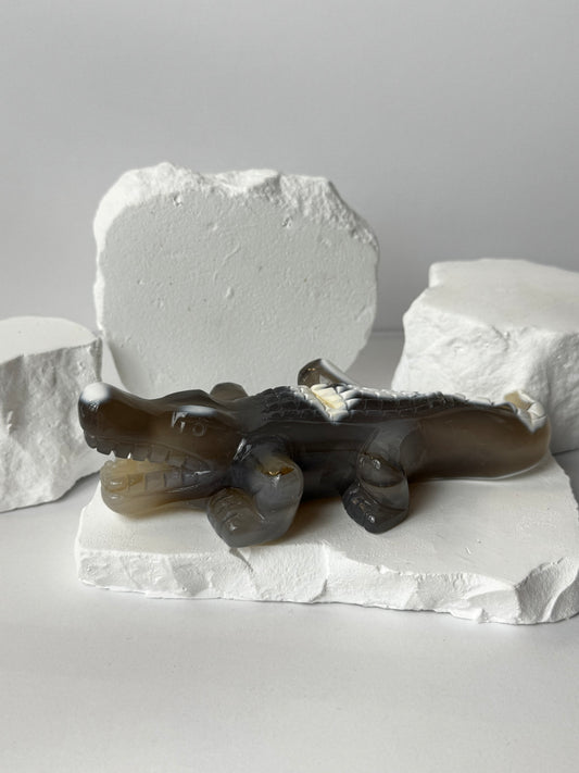 Orca Agate – Crocodile Carving