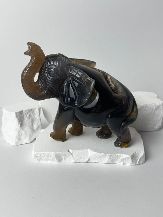 Druzy Achat – Elefant Carving